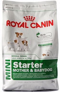 Royal Canin Мини Стартер мазэ энд бэбидог 8,5кг для щенков до 2-мес.и сук в период лактации (29900850R1)
