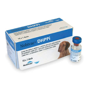 Ноби-Вак DHPPI (10доз/уп) против чумы,гепатита,парвовирусного энтерита и парагриппа собак,живая,сухая (t= от+2 до+8) VET