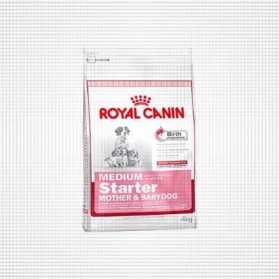 Royal Canin Медиум Стартер мазэ энд бэбидог 4кг*4шт для щенков собак средних размеров  до 2-х месяцев,беременных и кормящих сук (29930400R0)