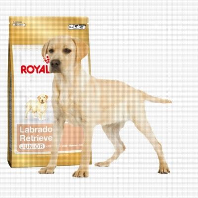 Royal Canin Лабрадор Ретривер Паппи ПРО 16кг (24921600R0)