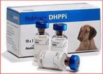 Ноби-Вак DHPPI (50 доз/уп) против чумы,гепатита,парвовирусного энтерита и парагриппа собак,живая,сухая (t= от+2 до+8) VET