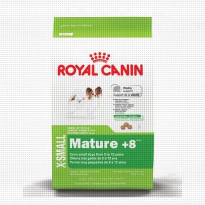 Royal Canin ИКС-Смол Эдалт 8+ 0,5кг*12шт для миниатюрных собак старше 8 лет (10040050F0)