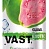 ВАСТ 0,33л*12шт Ж/Б Гуава (VAST Exotic Guava) напиток б/а газированный