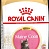 Royal Canin Мэйн Кун Киттен ПРО 14кг (25841400R0)