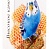 Зерновые палочки д/вол.попугаев с медом Вака (79575)