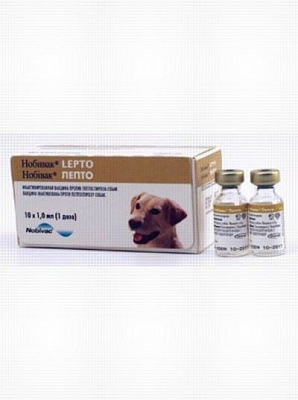 Ноби-Вак Lepto (10 доз/уп) против лептоспироза собак,инактивированная (t= от+2 до+8) VET