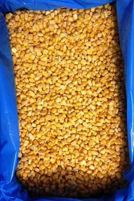 Кукуруза зерно с/м вес.10 кг  Россия