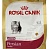 Royal Canin Персиан Киттен 0,4кг*12шт спец.питание для котят персидской породы (25540040R1)