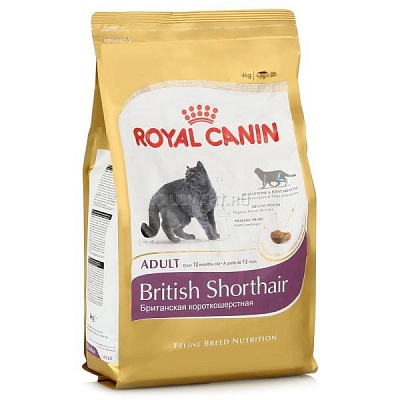 Royal Canin Британская короткошерстная 4кг*4шт (25570400R0)