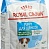 Royal Canin Мини Паппи 0,8кг*10шт корм для щенков собак мелких размеров в возрасте от 2 до 10 мес (30000080R4)